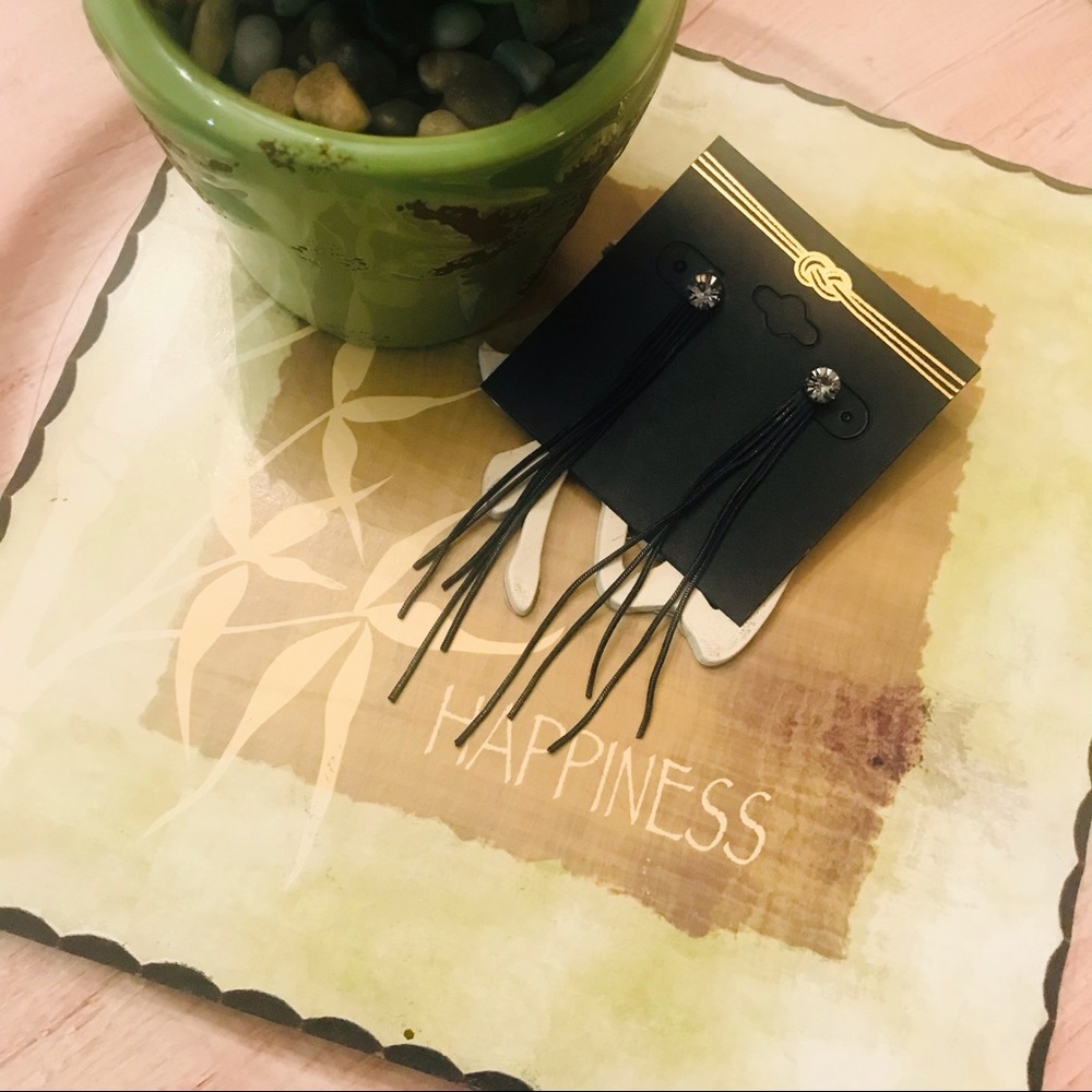 🎬New Popular Metal Tassel Stud Earrings